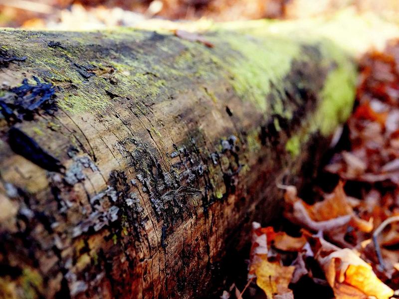 sudoku web browser game screenshot 3